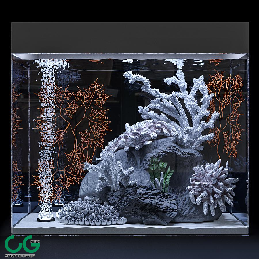 Marine aquarium